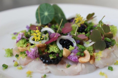 Céviche de poisson minute, vinaigre fumé Tozazu et légumes croquants